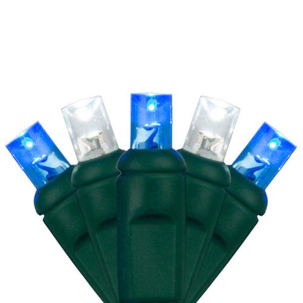 Wintergreen 70 5mm Blue Cool White LED Christmas Lights 4-in Spacing 120v Online Hot Sale