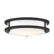 Nuvo Glamour LED 10-in Flush Mount Fixture Black Finish CCT Selectable For Sale