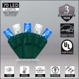 Wintergreen 70 5mm Blue Cool White LED Christmas Lights 4-in Spacing 120v Online Hot Sale